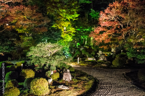 Beautiful Japanese style garden illuminated at Manshuin Monzeki at night in Kyoto photo