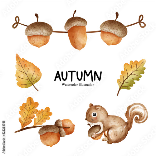 Watercolor acorn, autumn season vector illustration