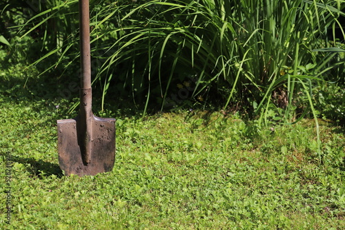 A shovel stuck in the ground in the garden. A gardener's working tool.