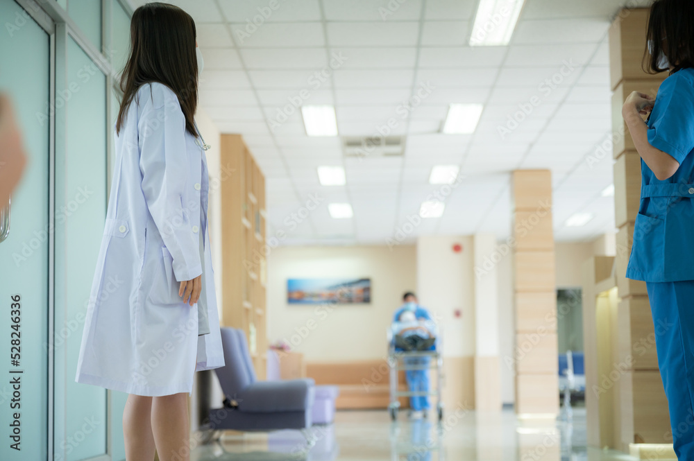 emergency patient concept, professional doctor working for help emergency patient at hospital clinic health care emergency patient concept, professional doctor working for help emergency patient at hospital clinic health care