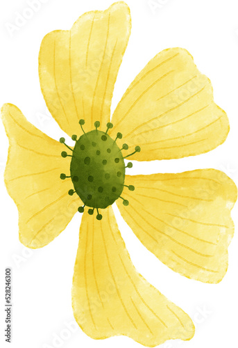 Fototapeta Naklejka Na Ścianę i Meble -  Yellow flower floral watercolor for decoration