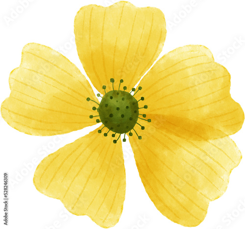 Fototapeta Naklejka Na Ścianę i Meble -  Yellow flower floral watercolor for decoration