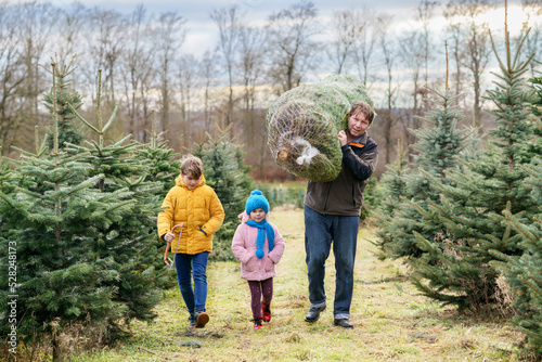 Happy family, man and two children with Christmas tree on fir tree cutting plantation. Preschool girl, kid boy and father choosing, cut and felling own xmas tree in forest, family tradition in Germany
