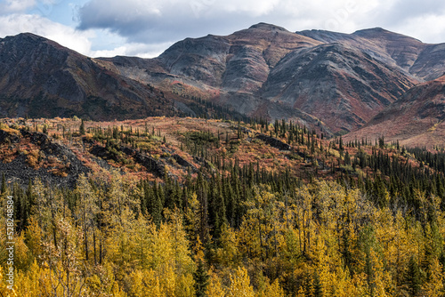 Yukon Wilderness Brilliant Autumn Color 