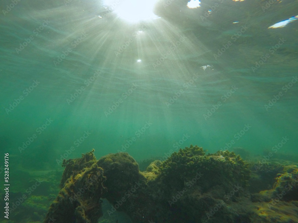Fototapeta premium Fishing net and tool discarded by fishermen causing widespread damage to coral reef in Thailand.