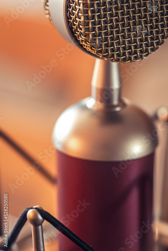 Professional microphone for sound recording, macro photography.