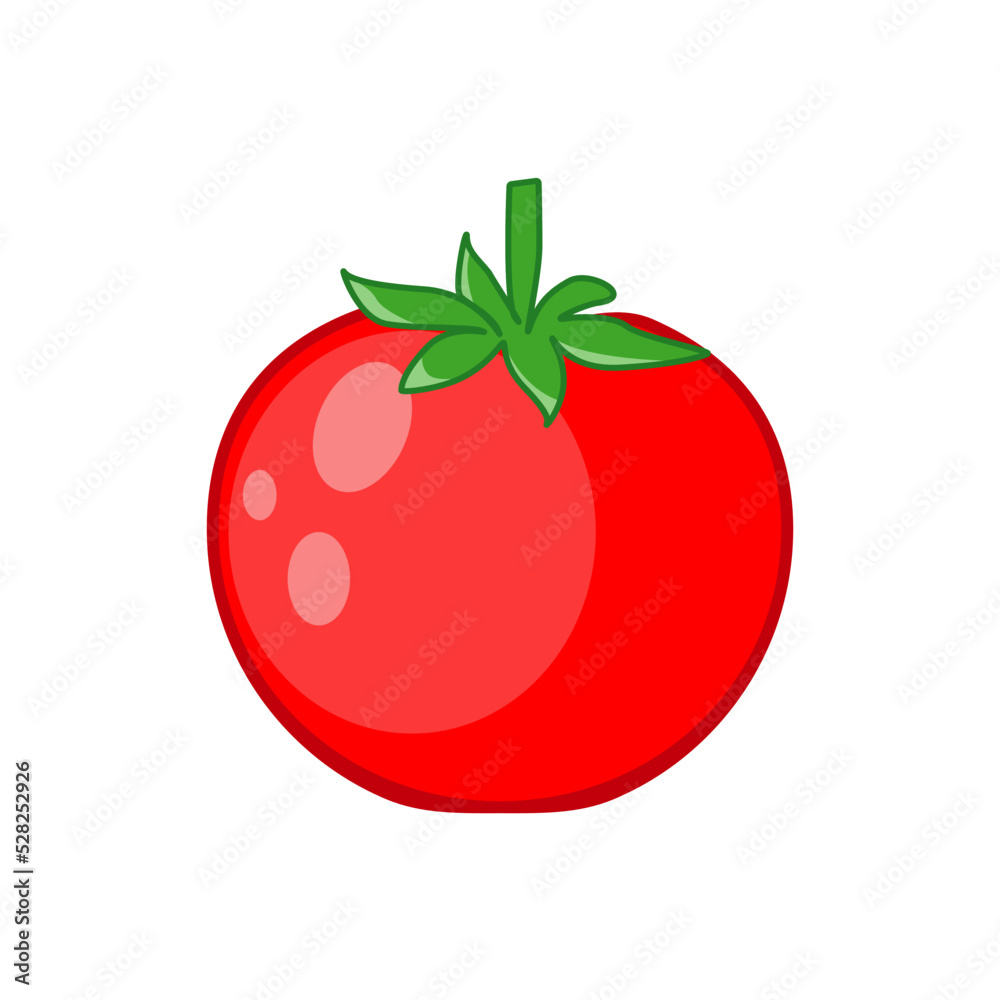 Tomato on a white background. Vector illustration with tomato in cartoon style. Tomato on a white background. Vector illustration with tomato in cartoon style.