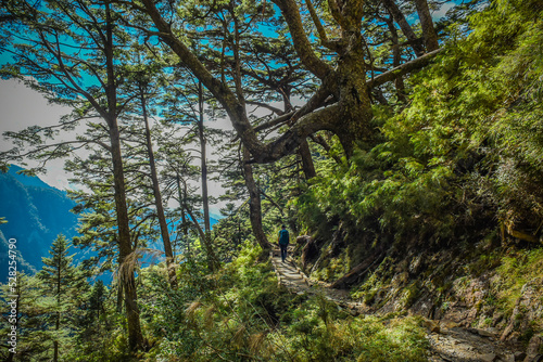 Landscape View Of Yushan Mountains And Tongpu Valley On The Trail To Paiyun Lodge, Yushan National Park, Chiayi, Taiwan