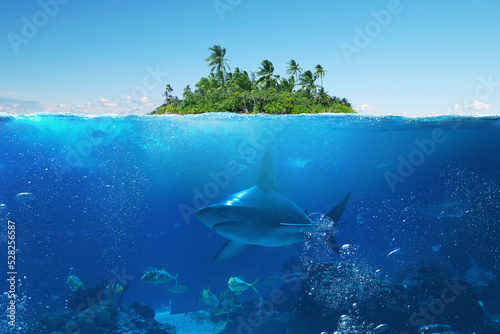 Amazing beautiful tropic island with palms tree with underwater views with sharks, fish and wildlife in the ocean. Summer tropical vacation, concept. Creative idea undersea. © alonesdj