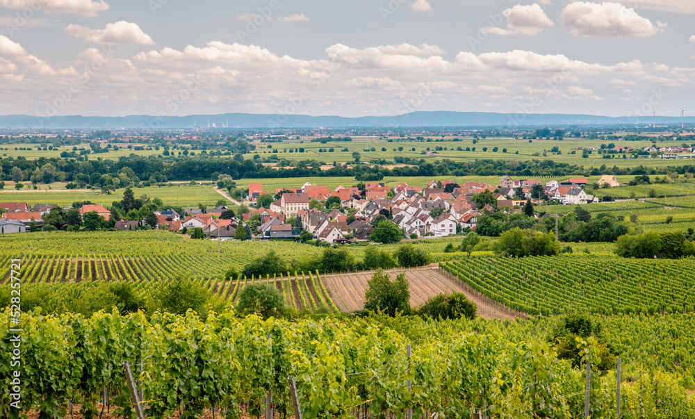 Travel Germany Southern Wine Route