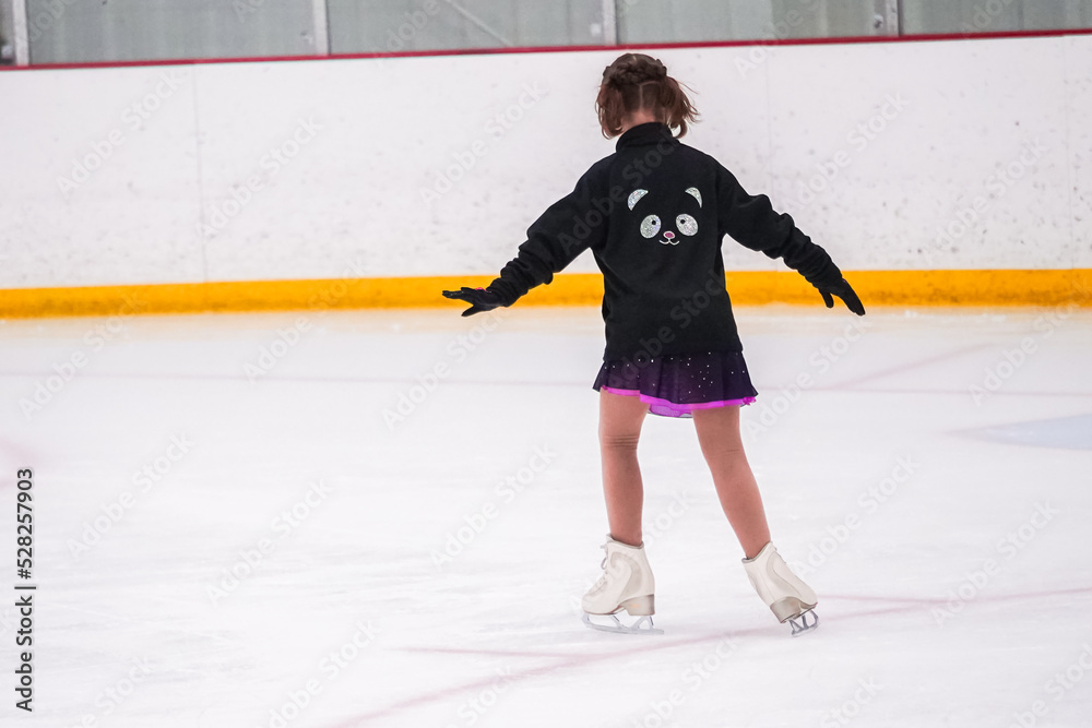 Obraz premium Figure skating practice