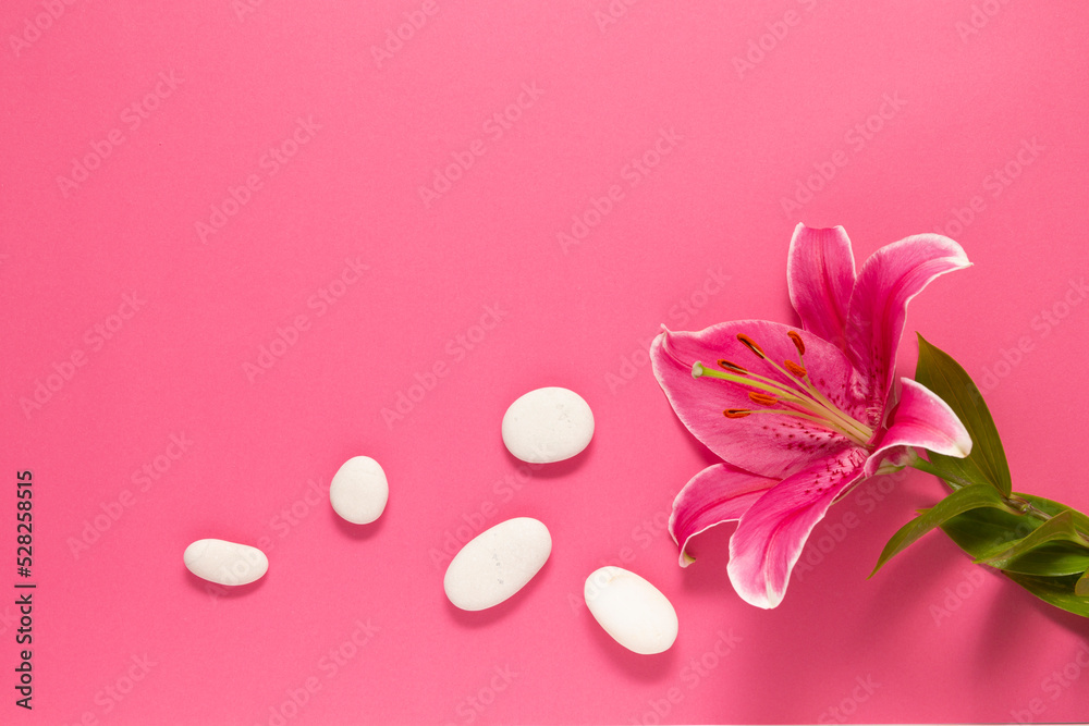 pink lily with stones spa background pink lily with stones spa background