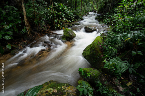 Natural water flow in waterfall in rainforest tropical in Thailand for create nature background in editing work. low light shooting.