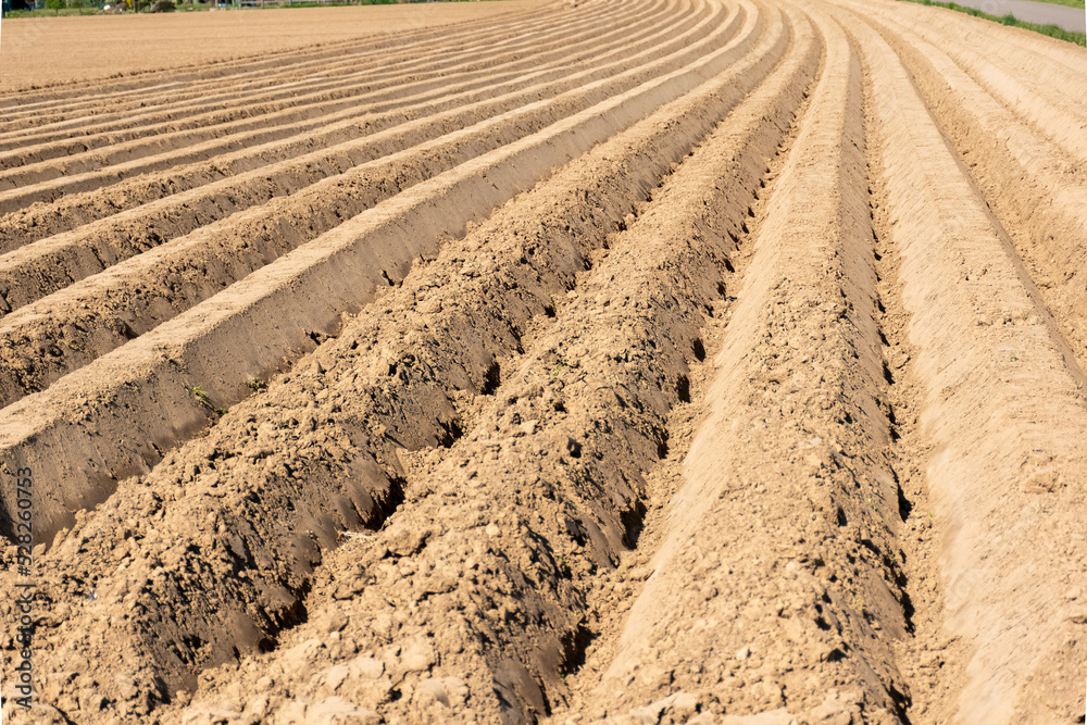 background.land prepared for cultivation background.land prepared for cultivation