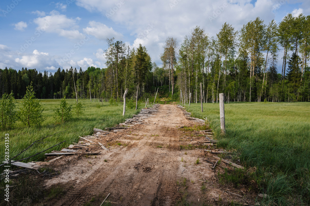 rural road in middle of large swamp with grass on cloudy summer day in Russia