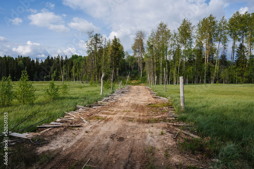 rural road in middle of large swamp with grass on cloudy summer day in Russia