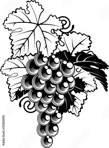 Grapes on Grapevine