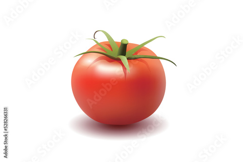 It's an illustration for tomato.