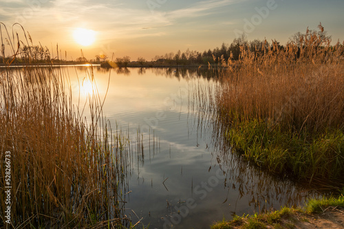 Sunset over a calm lake and high reeds