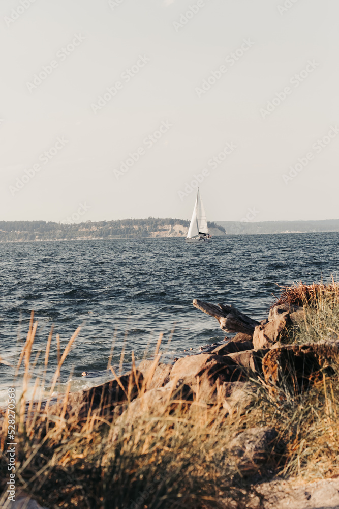 sailboat in the sea