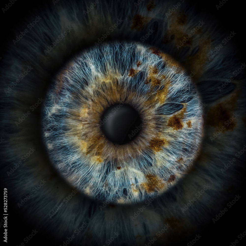 blue eye blue eye