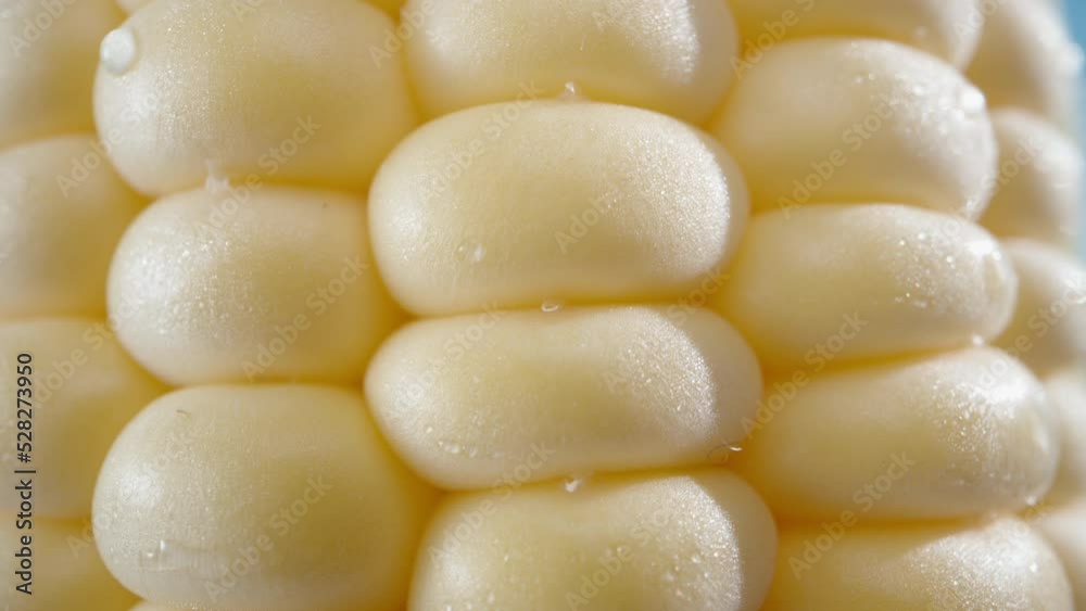 Corn in water drops super close-up, slider up
