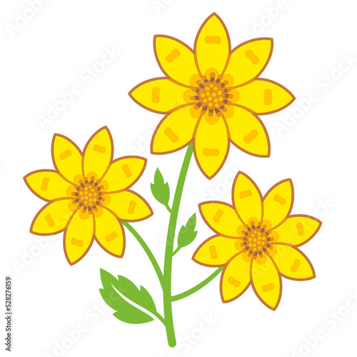 Adey abeba Ethiopian flower