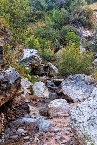 Small waterfall and a mountain stream run among the boulders