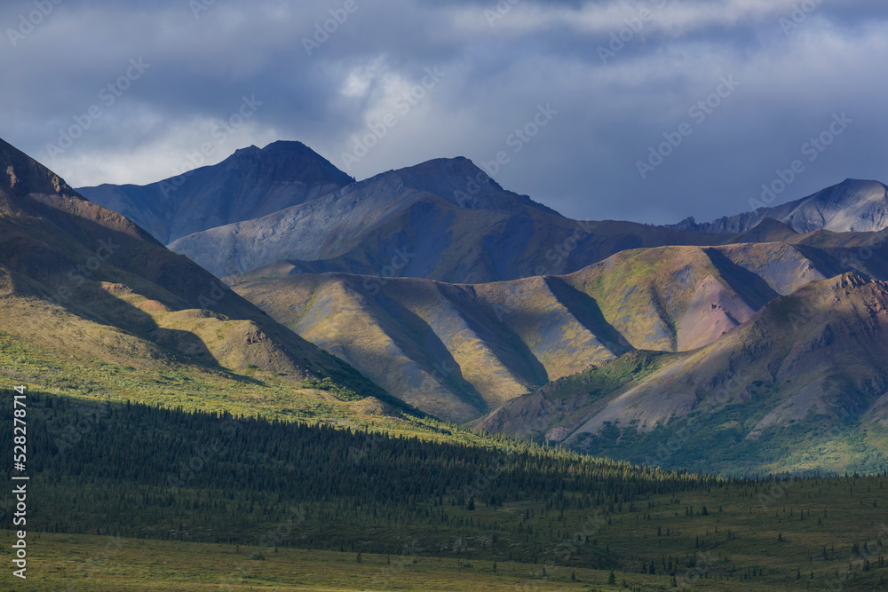 Fototapeta premium Mountains in Alaska