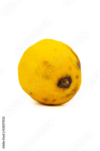 stale lemon isolated on white background