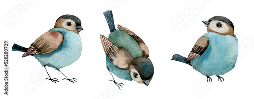 Watercolor cute blue and yellow birds. Cartoon animals illustration