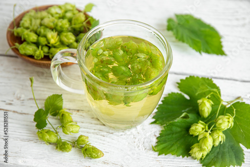 Herbal medicinal tea drink made of Humulus lupulus, the common hop or hops. Hops flowers with tea cup on white wood background, indoors home.