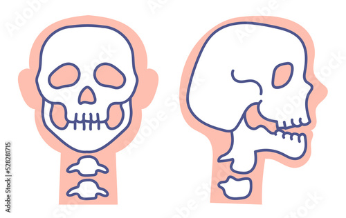 Human skull front and side view x ray isolated set collection concept. Vector graphic design element illustration