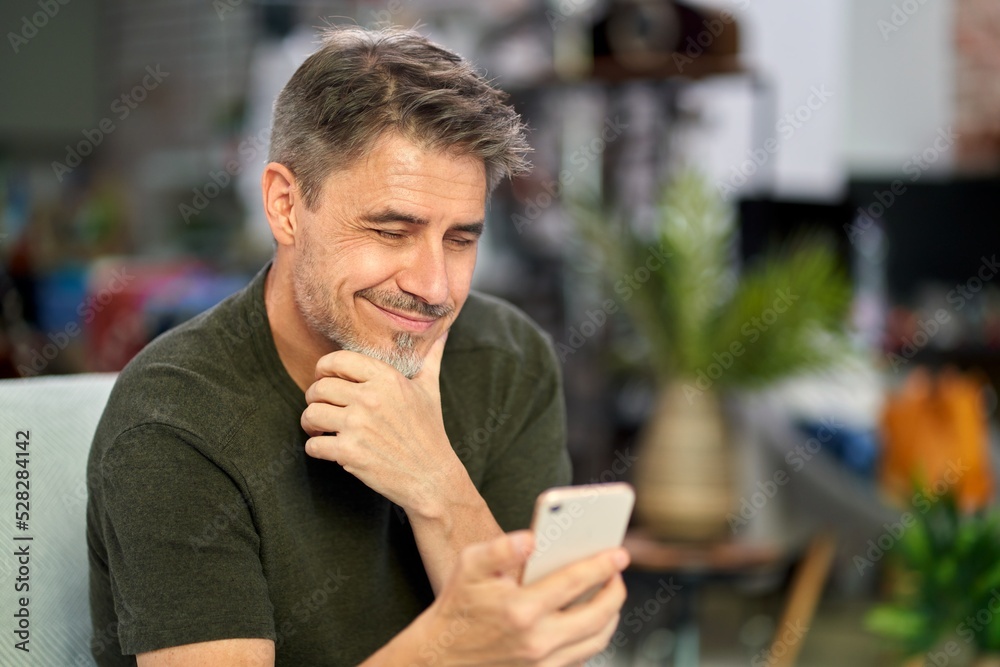 Portrait of middle aged handsome man wearing casual clothes, sitting on sofa at home in the living room, using phone, looking at camera.
