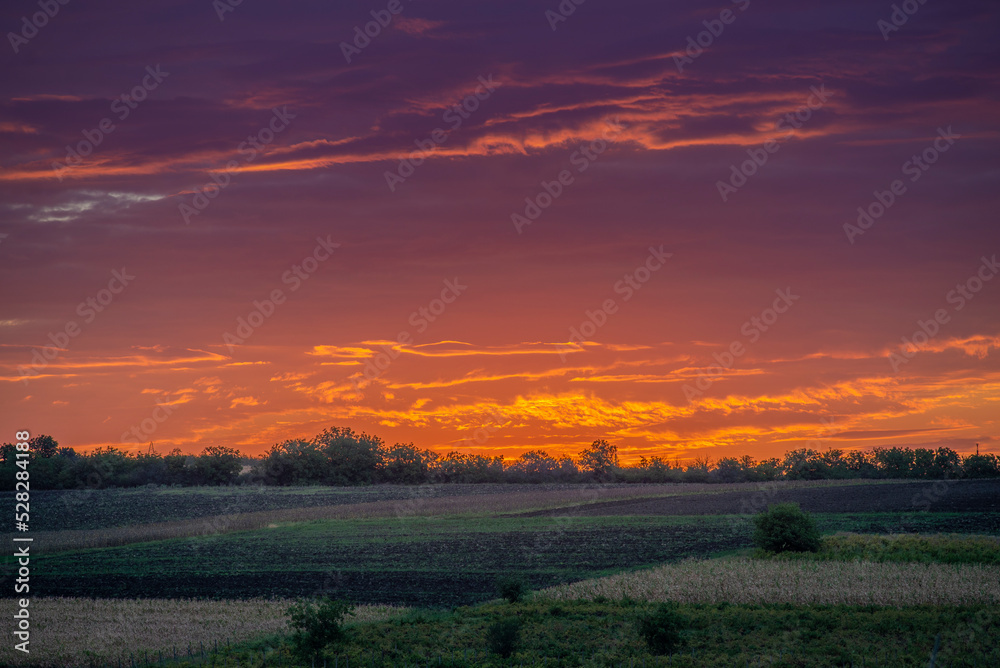 beautiful rural landscape. corn field and grass, Idyllic rural pretty farmland pink orange clouds sun  during sunset sunrise, SURCHICENI, MOLDOVA orange pink sky
