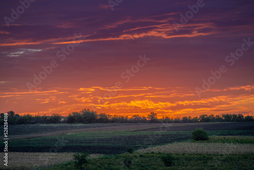 beautiful rural landscape. corn field and grass, Idyllic rural pretty farmland pink orange clouds sun during sunset sunrise, SURCHICENI, MOLDOVA orange pink sky © Victoria Moloman