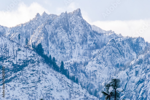 Forest in Winter with Mountains Background in British Columbia, Canada. © karamysh