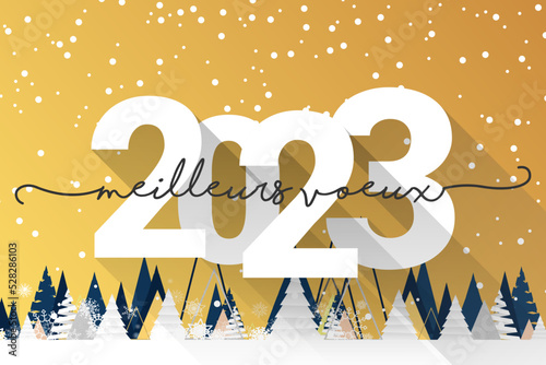 2023 - Meilleurs vœux - Bonne année