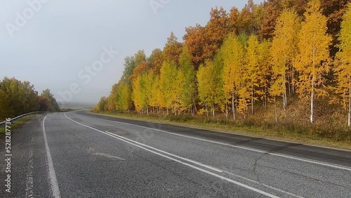 View of the empty asphalt highway going through a beautiful autumn forest
