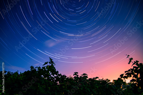 Star trail from the garden