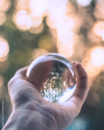 Reflection of nature in lens ball on hand