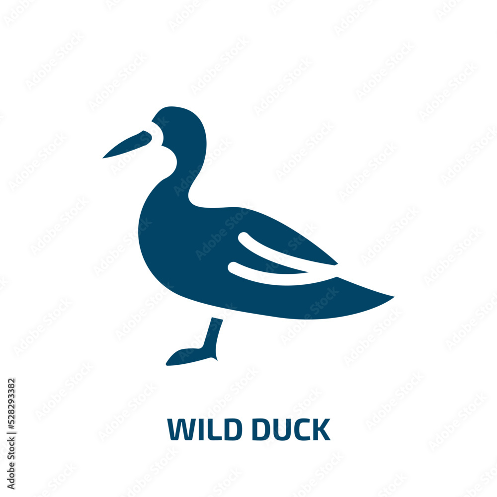 wild duck vector icon. wild duck, duck, bird filled icons from flat free animals concept. Isolated black glyph icon, vector illustration symbol element for web design and mobile apps wild duck vector icon. wild duck, duck, bird filled icons from flat free animals concept. Isolated black glyph icon, vector illustration symbol element for web design and mobile apps