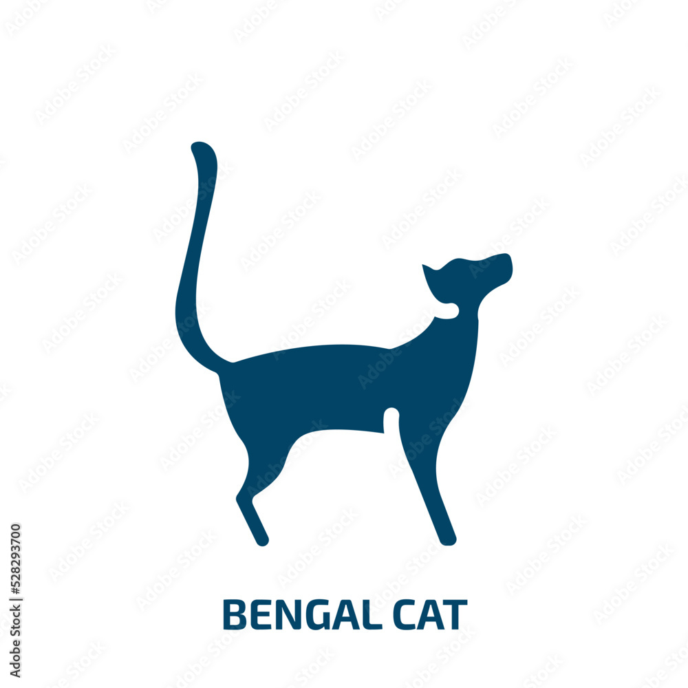 bengal cat vector icon. bengal cat, animal, cat filled icons from flat cat breed bodies concept. Isolated black glyph icon, vector illustration symbol element for web design and mobile apps
