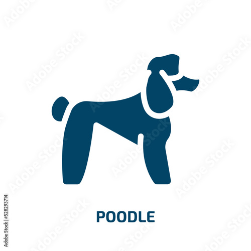 poodle vector icon. poodle, dog, breed filled icons from flat dog and training concept. Isolated black glyph icon, vector illustration symbol element for web design and mobile apps