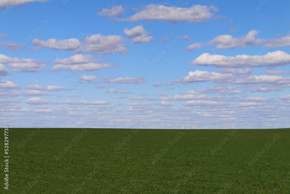 horizon land grass grazing grassland field farm livestock farming cloudscape feed graze plain horizon land grass grazing grassland field farm livestock farming cloudscape feed graze plain