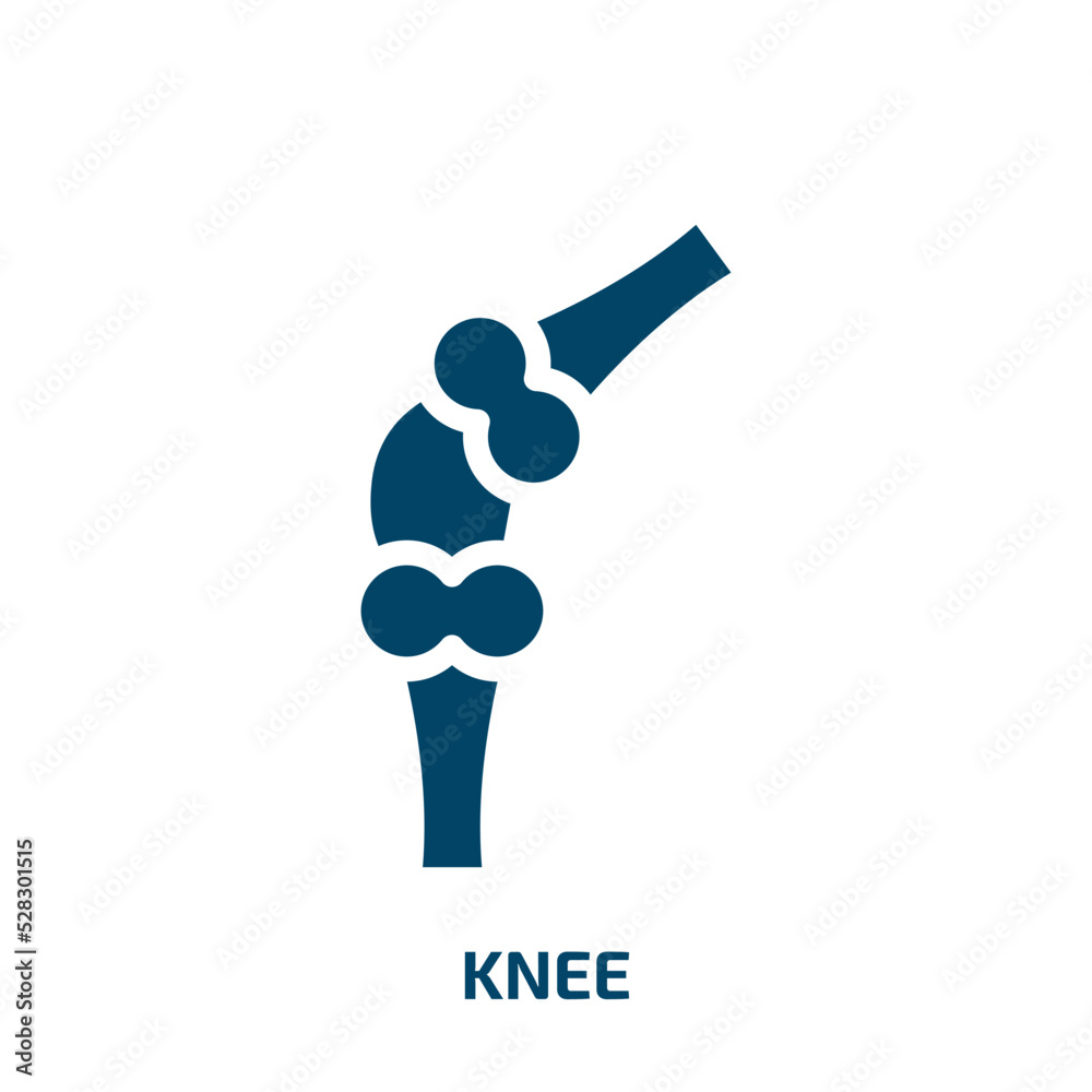 knee vector icon. knee, medical, anatomy filled icons from flat physiotherapy concept. Isolated black glyph icon, vector illustration symbol element for web design and mobile apps knee vector icon. knee, medical, anatomy filled icons from flat physiotherapy concept. Isolated black glyph icon, vector illustration symbol element for web design and mobile apps