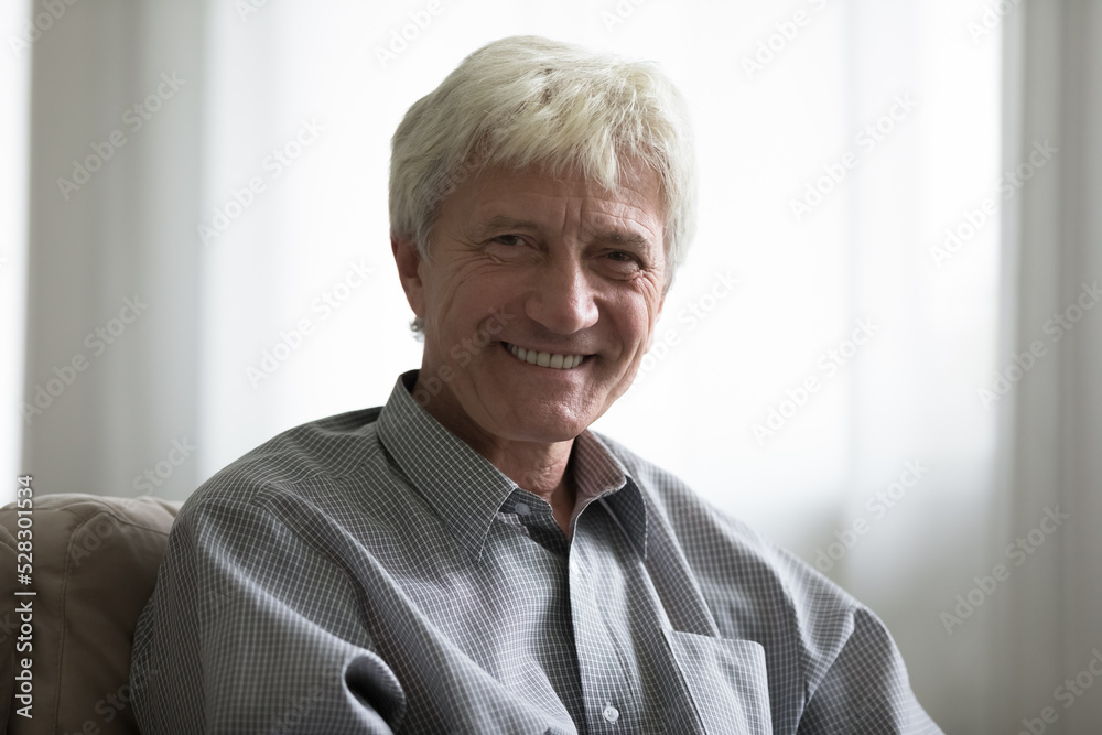 Cheerful confident handsome mature hoary man looking at camera with happy smile, sitting on couch at home, laughing, expressing positive emotion, reaction. Video call headshot portrait Cheerful confident handsome mature hoary man looking at camera with happy smile, sitting on couch at home, laughing, expressing positive emotion, reaction. Video call headshot portrait