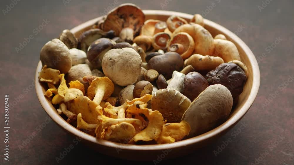 Various kinds of assorted raw mushrooms placed in wooden bowl Various kinds of assorted raw mushrooms placed in wooden bowl