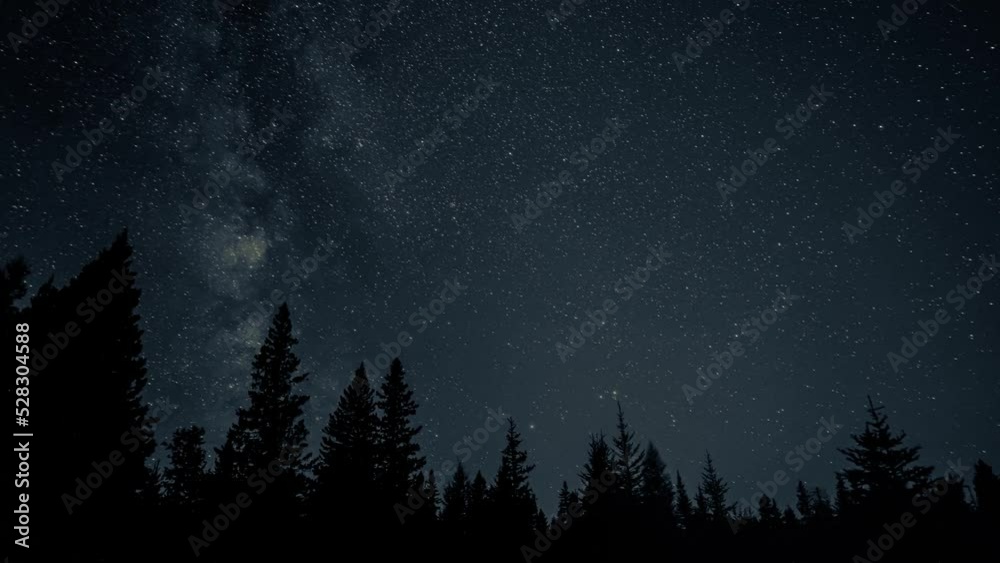 Time lapse of stars, including the Milky Way, move above a silhouette forest. Also satellites and meteors streak across sky.
