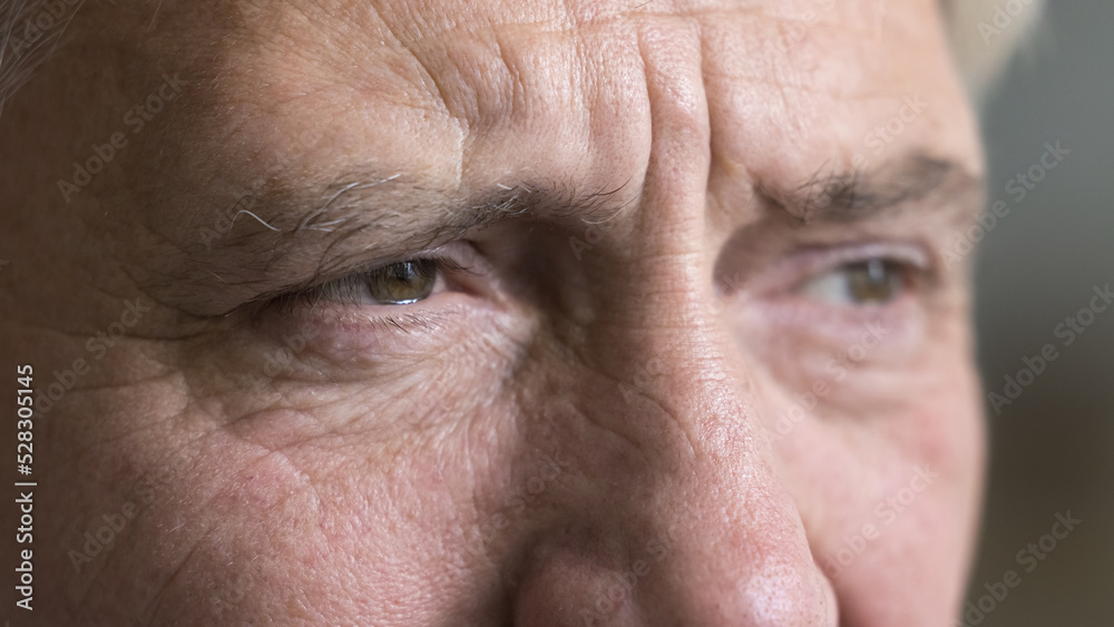 Brown eyes of serious older grey man looking away. Upper face, nose, dry facial skin with wrinkles close up. Cropped shot, banner. Elderly age, geriatric process, eye care, vision Brown eyes of serious older grey man looking away. Upper face, nose, dry facial skin with wrinkles close up. Cropped shot, banner. Elderly age, geriatric process, eye care, vision